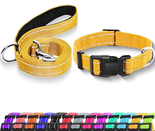 Maiiu Reflektierendes Hundehalsband mit Sicherheitsverschluss (Halsband und Leine)