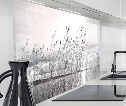 timalo Herd Spritzschutz Wand Spüle, Küche Küchenrückwand Glasoptik | Acryl Glas 2mm | Glasrückwand Acrylglas Küchenpaneele Rückwandschutz Platte | 140x50cm See Schilf Pampasgras