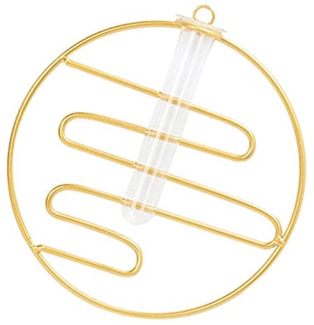 CIYODO Hängende Pflanzenhalterung Wandvase für Pflanzenvermehrung und Moderne Raumgestaltung Geometrisches Design Wohnzimmer