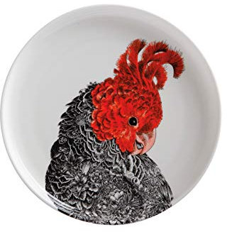 Maxwell & Williams Marini Ferlazzo Vögel Beilagenteller mit Helmkakadu Design, in Geschenkbox, Porzellan, Weiß 20 cm