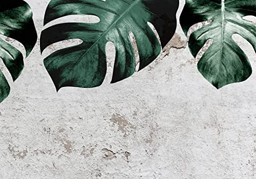 decomonkey Fototapete Natur 400x280 cm Design Tapete XXL Fototapeten Vlies Tapeten Vliestapete Wandtapete moderne Wand Schlafzimmer Wohnzimmer Blätter Grün Monstera Pflanzen Betonoptik Grau