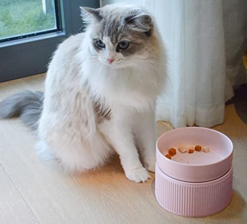 2-in-1 Elevated Cat Bowl,Elevated Bowl Stand, Water Bowls Anti Vomiting, High Rise Ceramic Pet Food Bowl for Cats,Small Dogs,Protect Pet's Spine,Dishwasher Safe (Pink)