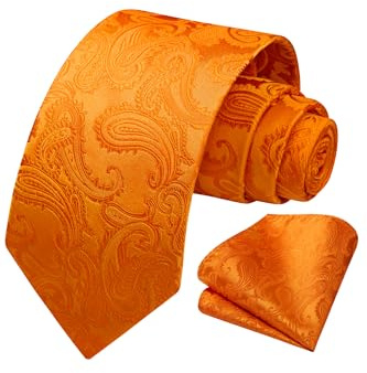 HISDERN Herren Krawatte Taschentuch Blume Paisley Hochzeit Krawatte & Einstecktuch Set