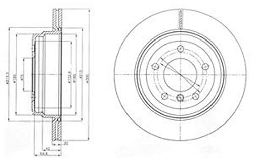 DELPHI 2x Bremsscheibe Hinten Ø300mm Höhe: 66mm Dicke: 20mm Belüftet BG4243C