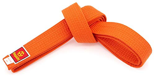 Hayashi Budogürtel - orange, Gr. 220 cm