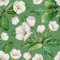 CRE8TIVE Weiß Crabapple Selbstklebende Tapete Blumen Vintage Tapete Grün Selbstklebende Folie Fototapete Schlafzimmer Schrankfolie Tapete Badezimmer Wasserfest Dekoration Tropische 61cm x 300cm