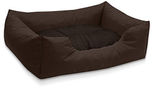 BedDog Hundebett Mimi, Hundesofa aus Cordura, Microfaser-Velours, waschbares Hundebett Vier-eckig mit Rand, Hundekissen für drinnen, draußen, XL, braun