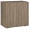 HOMCOM Aparador de Salón con 2 Puertas Armario Auxiliar con 2 Estantes para Libros Ropa Juguetes Estilo Moderno 70x39x70 cm Madera Natural