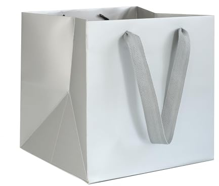AZOWA Silber Papier Geschenktüte Klein quadratische Geschenktüten mit Henkel Party Geschenk Papiertüten (15 x 15 x 15 cm, 10 Stück)
