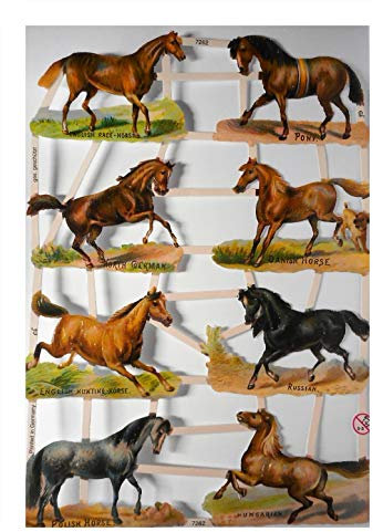 Glanzbilder EF 7262 Pferd Pferde English Danish Pony Horse Posiebilder Deko 816
