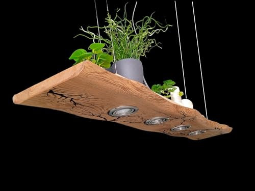 FRIESENLICHT TAKO LED Esstischlampe GU10 Pendelleuchte Unikat Wildeiche mit Baumkante Holz Hängelampe Hängeleuchte Led Vintage Set Leuchte Lampe Eiche geölt Massiv (150 cm/5 Spots)