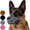 CollarDirect Maulkorb für Hunde, Deutscher Schäferhund, Dalmatiner, Dobermann, Setter, Lederkorb, mittelgroß, für große Rassen, Schwarz, Braun, Rosa, Grau (M, Grau)
