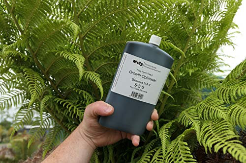 Todds Premium M183 Fern Tree Feed Fertiliser 250ml
