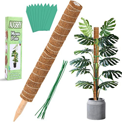 Augshy 2 Stück 30.5 cm Kokosfaser Totemstange Moosstangen für Zimmerpflanzen, Kletterpflanzen, Pflanzentotem für Pflanzenunterstützung, Creepers, mit 40 Pflanzenetiketten und 40 Spiralbindern