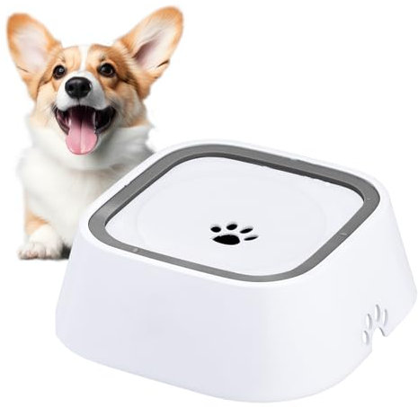 Kinsinder Gamelle Eau Anti Éclaboussure et Débordement pour Chien et Chat - Idéal pour Voyage (Blanc)
