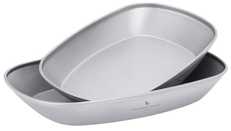 iBasingo Ensemble d'assiettes à dîner en titane légères et portables de 23,2 cm pour camping, intérieur et extérieur, durable, pain, dessert, légumes, frites de fruits, vaisselle de cuisine Ti1143T