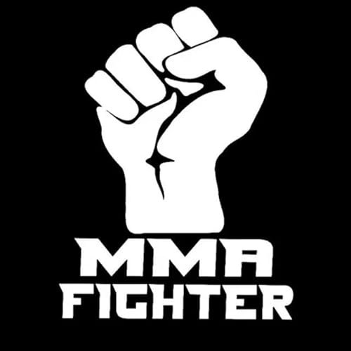 10cmx13.5cm Fighter Fenster Aufkleber Auto Styling Faust Auto Aufkleber Zubehör Auto Stoßstange WC Kühlschrank, Wand, Tür, Motorrad Elektro-Fahrrad-Aufkleber Dekorative Aufkleber