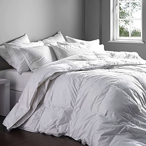 Corredocasa Piumino Interno Bianco Sacco 4 Stagioni in Morbida e Calda Microfibra Anallergica Made in Italy, Adatto per Uso Invernale ed Estivo in 3 Diverse Misure (Matrimoniale 250x200 cm)