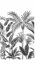BODENMEISTER BM212 Papier peint photo non tissé 3D, bois, pierre, forêt, nature, ville, 280 x 159 cm, motif jungle naturelle, feuilles noir et blanc