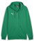 PUMA Herren Teamgoal Casuals Hooded Jacket Sweat, Sport Green-puma White, 3XL EU