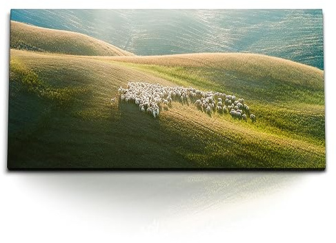 Paul Sinus Kunstdruck Bilder 120x60cm Schafe Schafherde Graslandschaft Hügel Schottland