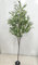 Cexovo Olivier Artificiel en Pot,Olivier 180cm Grand Plante Artificielle Olivier Plante Artificielle en Pot Décoration Décoration De Grande Plante Simulée Idéal pour La Maison Le Salon