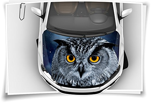 Medianlux Eule Uhu Augen Motorhaube Auto-Aufkleber Steinschlag-Schutz-Folie Airbrush Tuning Car-Wrapping Luftkanalfolie Digitaldruck Folierung