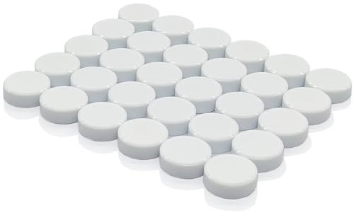 PYJLBX Fridge Magnets, 30 Pack Strong Magnet Small Magnets Whiteboard Magnets, Crafts Magnets, Colourful Mini Round Magnets Heavy Duty Magnets for Whiteboard, Crafts,Notice Board,Fridge,Office (White)