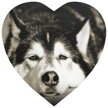 Sibirischer Husky, Magnetischer Kühlschrankaufkleber in Herzform, weichmagnetische Kühlschrankmagnete, Möbeldekoration, 1 Stück
