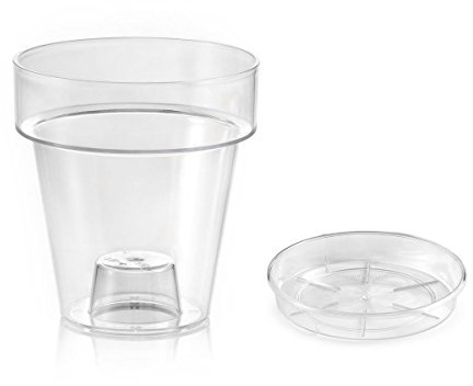 TERAPLAST ASO Transparente «Puerto» con Soporte para ORQUÍDEAS diámetro CM 16 Completo de Bajo Vaso (2)