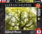 Schmidt- L‘Albero dei Sogni Other License Puzzle, 10IT4001504596699IT10