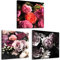 decomonkey Bilder Blumen 120x40 cm 3 Teilig Wandbild Groß Leinwandbild XXL Deko Wohnzimmer Schlafzimmer Büro Wanddeko Leinwand Pictures For Wall Poster Wall Painting Natur Rose Pfingstrose