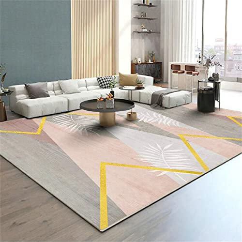 DJHWWD Gaming Rug Pink Gray Carpet Rectangular Low Pile Living Room Anti-Slip girl bedroom accessories Washable Rugs Non Slip floor 60X90CM