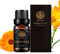 Aromatherapie Calendula ätherisches Öl für Diffusor, Therapeutic Grade Calendula Ätherisches Öl für Heim, Luftbefeuchter, 10ml 100% Calendula ätherisches Öl für Massage, Haut- und Haarpflege
