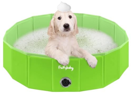 furrybaby Piscine Pliable pour Chiens, Piscine Rembourrée Portable pour Chien, Piscine en Plastique, Grande Piscine Rigide pour Enfants (Vert, 80 x 20 cm)