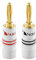 Nakamichi 24K vergoldeter Bananenstecker 12 AWG - 18 AWG Gauge Größe 4mm für Lautsprecher Verstärker Hi-Fi AV Receiver Stereo Heimkino Audiokabel Stecker schraubbar 2 Stück (1-Paar)