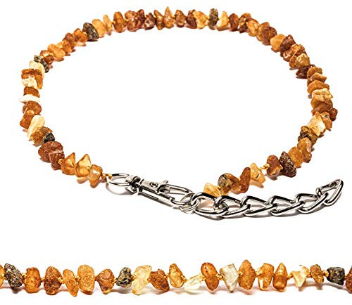 Amber Neck - Amber Tick Protection Dog Collar – Handmade Natural Baltic Amber Necklace with Metal Chain & Carabiner – Adjustable (50-55 cm)