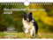Hundezauber Border Collie DIN A5 Kalender für 2025 Welpen und Hunde - Seelenzauber