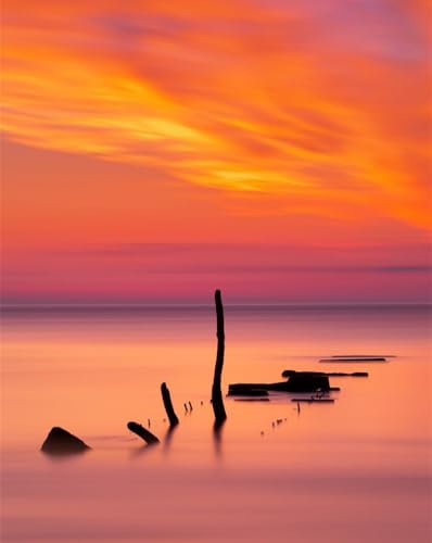 Jigsaw Puzzles 1000 Pieces for Adults Difficult Hard Jigsaw Puzzles for Women Men-Ocean,sunset,sticks 70x50cm