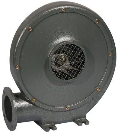GBPLDMAQ Forge Blower Fan, Electric Blower, High Velocity Blower Fan Suitable for Outdoor Inflatable, Cooking, Picnic, Hair Dryer, Centrifugal Fan 220V(350x230x390mm/14x9x15in)