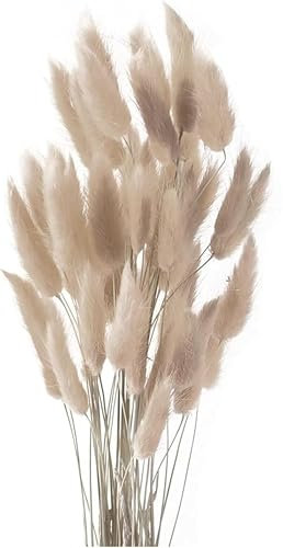 Pampasgras Trockenblumen 50 Stück Elegantes Pampasgras Deko Natürlich Blumenstrauß Flauschiges Getrocknete Blumen Herbst Boho Deko für Hochzeit Büro Schlafzimmer Wohnzimme (Grauer Kaffee)