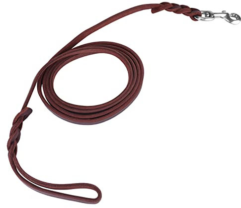Hundeleine Leder,Fettlederleine Hund, Verkehrsleine Für Hunde,Haustier-Hundeleine Sicherheitsseil Rindsleder Und Ledergürtel Für Gehens Lauftraining (2,1 Meter)