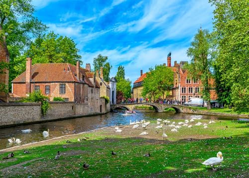 Puzzles 1000 Pieces for Adults jigsaw puzzles for adults 1000 Piece Puzzle Educational Games -Bruges.