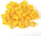 Broco 100PCS / Bag 16MM 001-100 nummerierte Plastik Geflügel Hühner Enten Gänsekeule Bands Ringe (Gelb)