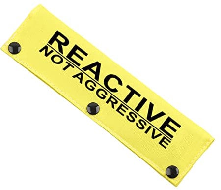 Reactive Not Aggressive Do Not Pet Dog Leash Sleeve Reactive Dog Leash Wrap (NOT AGGRESSIVE sleeves)