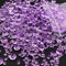 4200 Stück Deko Diamanten Dekosteine Glitzer Dekodiamanten Deko Diamantene Hochzeit Plastik Diamanten Diamantkristalle Transparent Acryl Kristalle Tischdeko Strass Transparent Kristall Lila