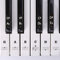 Piano Keyboard Stickers for 88/61/54/49/37 Keys, Removable Piano Key Stickers Keyboard Note Labels Sticker for Beginners