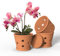 Orchideentöpfe aus Terrakotta, 15,2 cm, Orchideentopf mit Löchern und Untersetzern, 3 Stück, Ton-Orchideen-Pflanztöpfe zum Umtopfen, Terrakotta-Topf, großer Bulk-Blumentopf für drinnen und draußen,