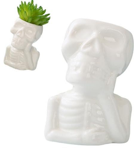Ourhommie Skull Funny Succulent Planter Pot, Ceramic Air Plant Holders Novelty Cactus Display Container Miniature Plants Pots Small Pottery Bonsai Pots Home Decor for Desk Table Shelf Window, No Plant