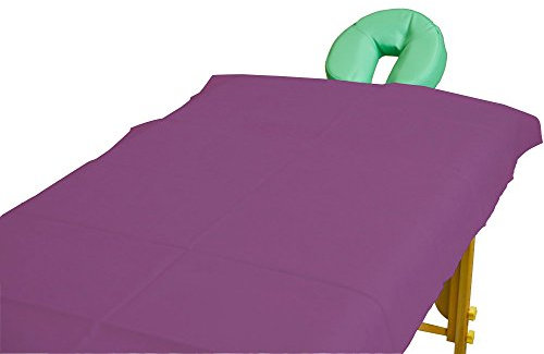 Teqler Einmallaken für Untersuchungs-, Massageliegen und Massagebänke T-131042pflaume, 200 cm x 70 cm (100-er pack)